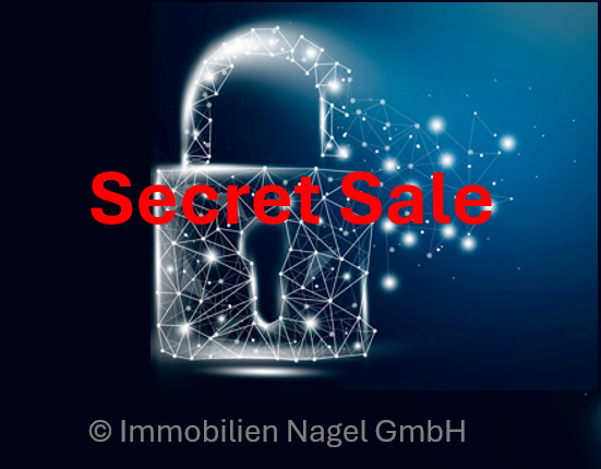 Secret Sales_small